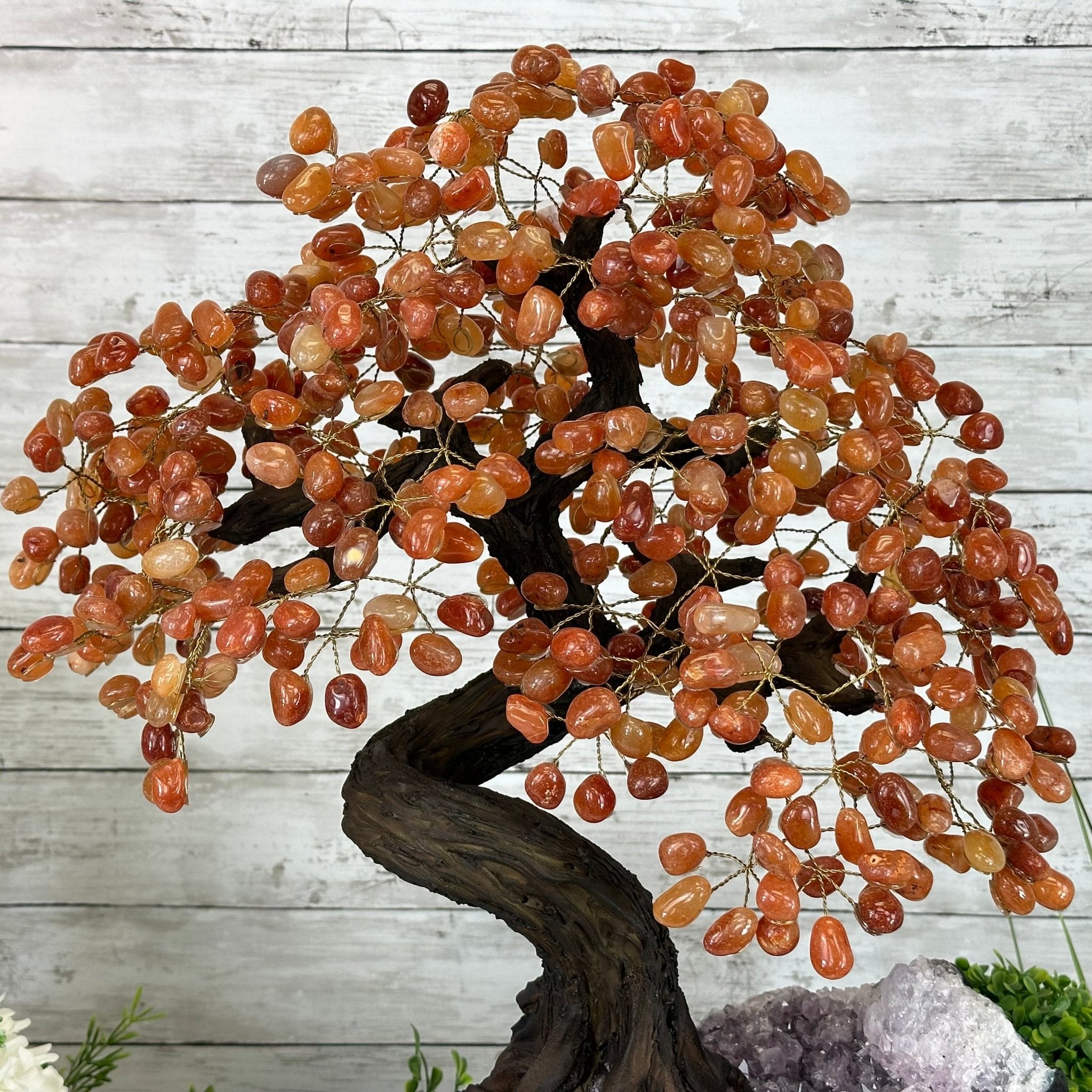 23" Tall Carnelian Gemstone Tree on an Amethyst base, 540 gems #5406CA-006 - Brazil GemsBrazil Gems23" Tall Carnelian Gemstone Tree on an Amethyst base, 540 gems #5406CA-006Gemstone Trees5406CA-006