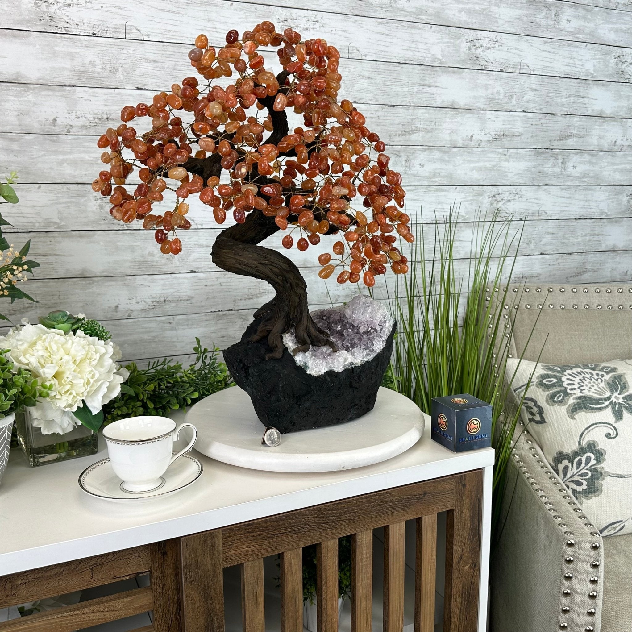23" Tall Carnelian Gemstone Tree on an Amethyst base, 540 gems #5406CA-006 - Brazil GemsBrazil Gems23" Tall Carnelian Gemstone Tree on an Amethyst base, 540 gems #5406CA-006Gemstone Trees5406CA-006
