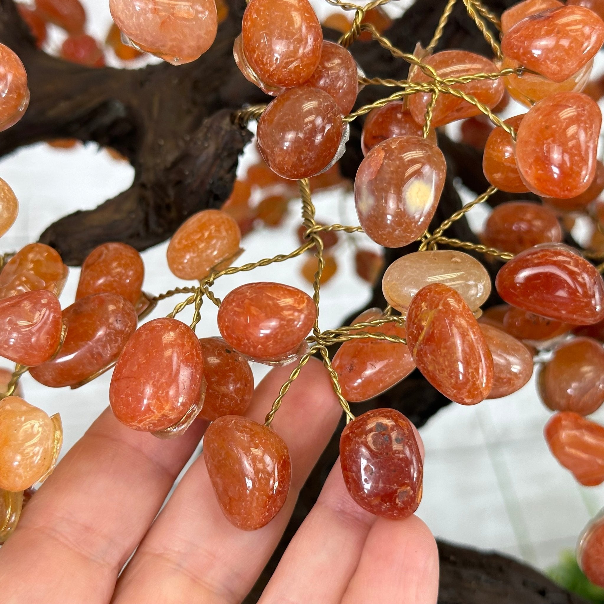 23" Tall Carnelian Gemstone Tree on an Amethyst base, 540 gems #5406CA-006 - Brazil GemsBrazil Gems23" Tall Carnelian Gemstone Tree on an Amethyst base, 540 gems #5406CA-006Gemstone Trees5406CA-006