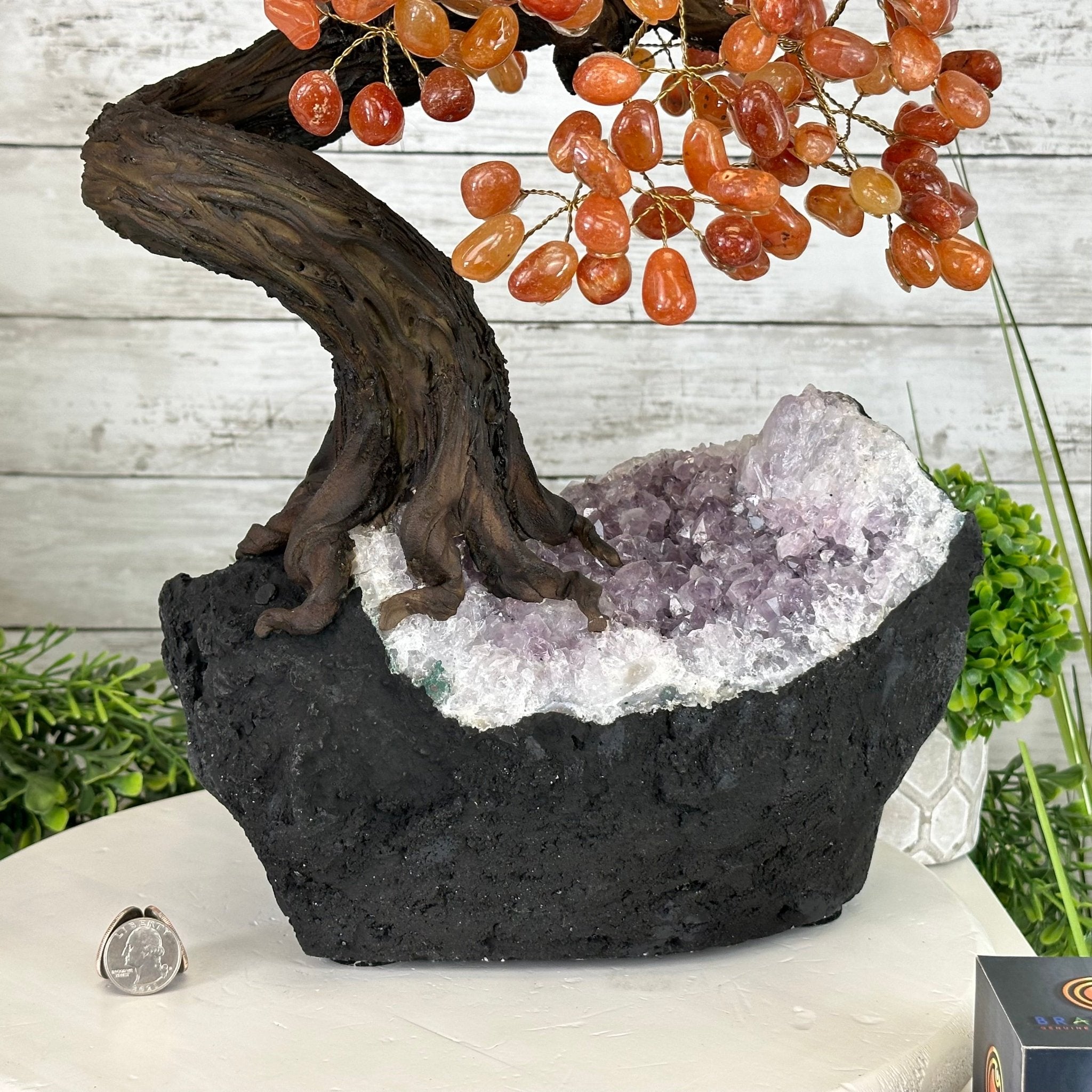 23" Tall Carnelian Gemstone Tree on an Amethyst base, 540 gems #5406CA-006 - Brazil GemsBrazil Gems23" Tall Carnelian Gemstone Tree on an Amethyst base, 540 gems #5406CA-006Gemstone Trees5406CA-006
