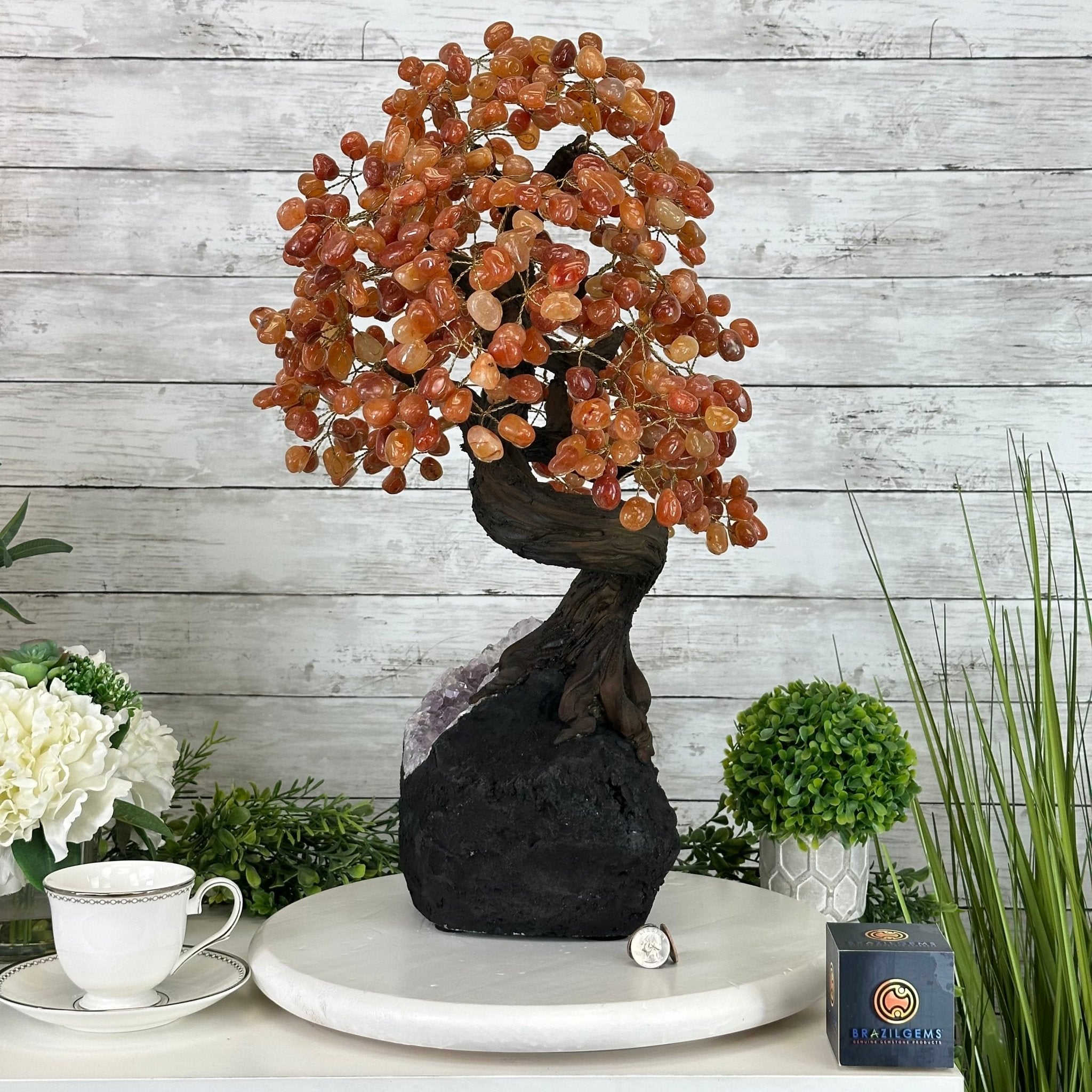 23" Tall Carnelian Gemstone Tree on an Amethyst base, 540 gems #5406CA-006 - Brazil GemsBrazil Gems23" Tall Carnelian Gemstone Tree on an Amethyst base, 540 gems #5406CA-006Gemstone Trees5406CA-006