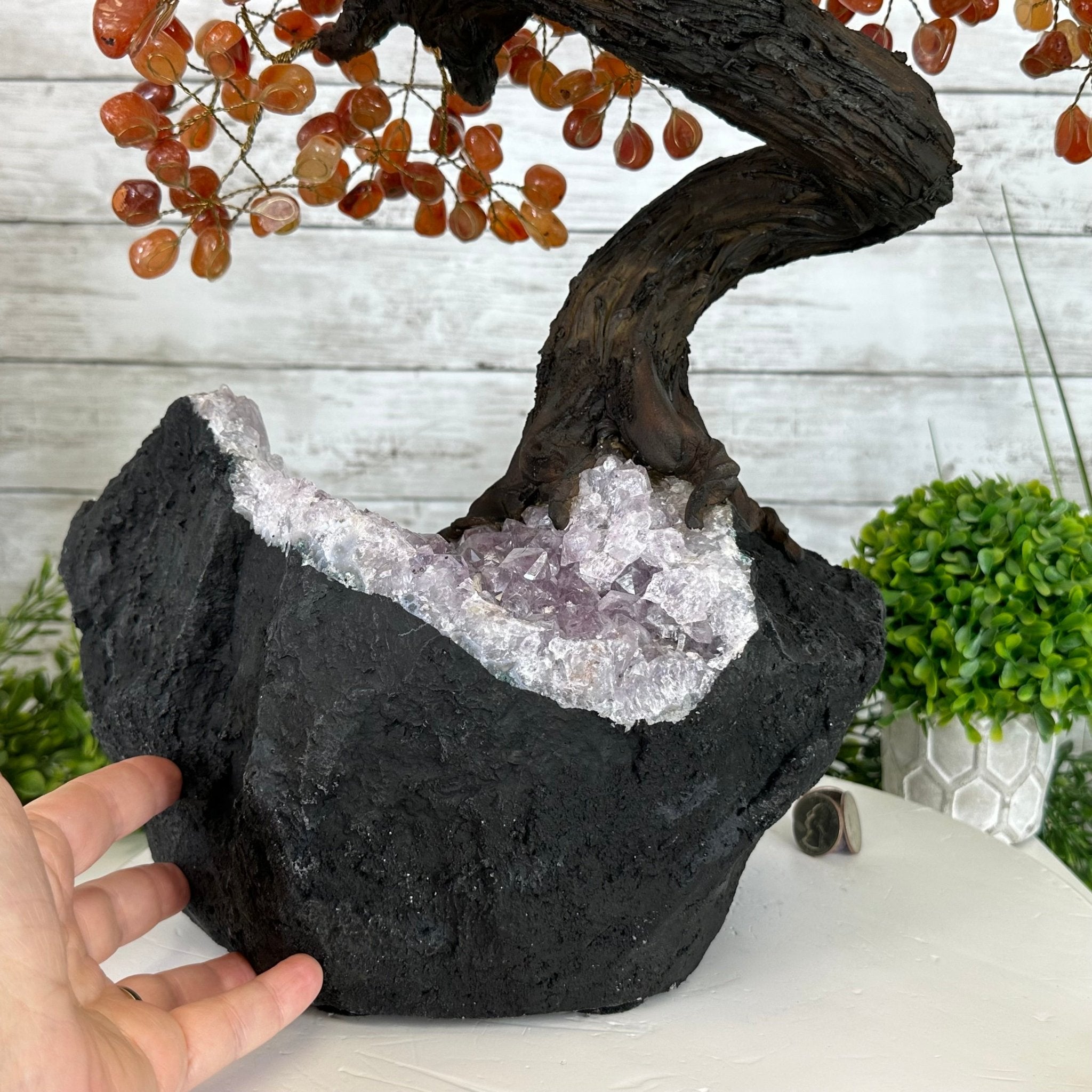 23" Tall Carnelian Gemstone Tree on an Amethyst base, 540 gems #5406CA-006 - Brazil GemsBrazil Gems23" Tall Carnelian Gemstone Tree on an Amethyst base, 540 gems #5406CA-006Gemstone Trees5406CA-006