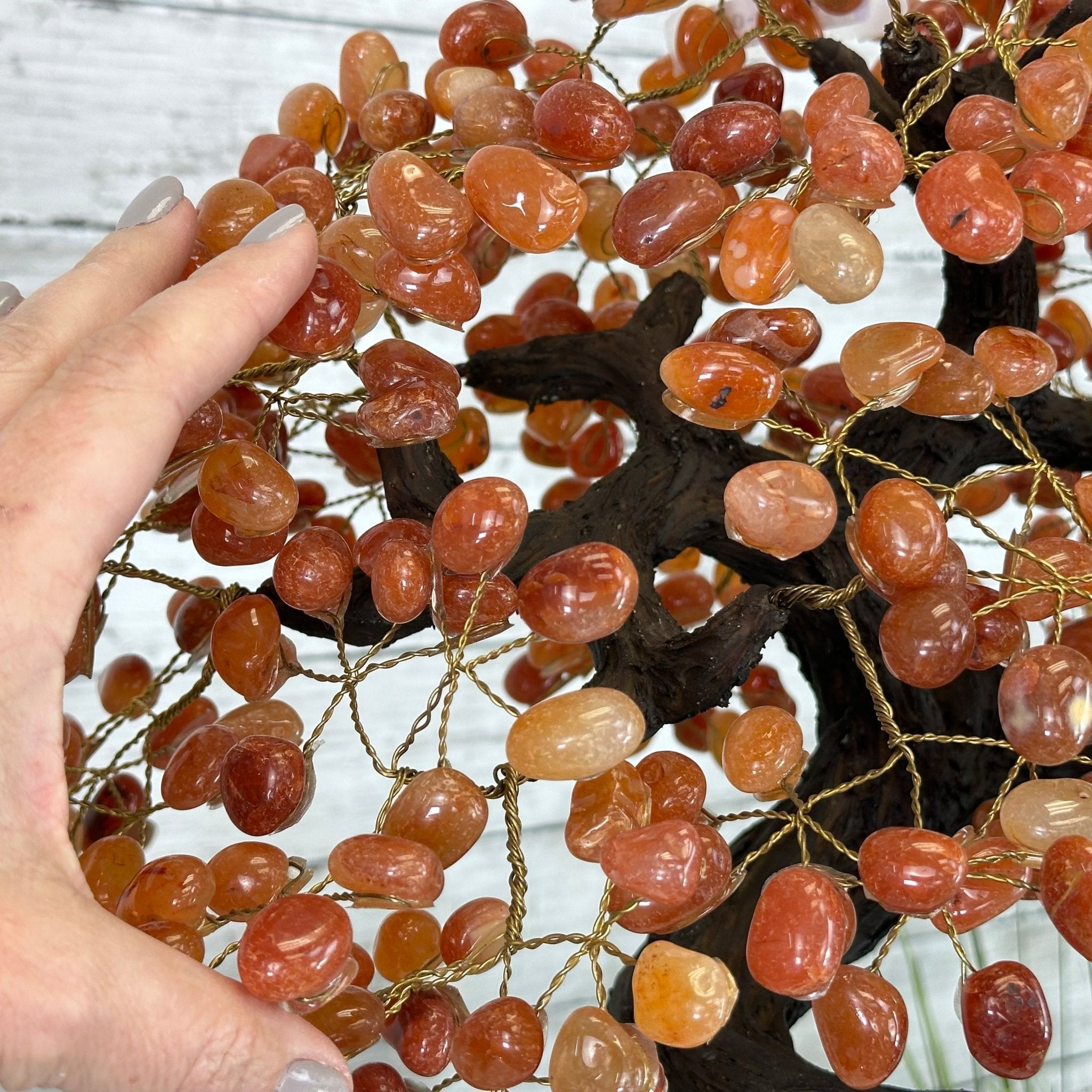 23" Tall Carnelian Gemstone Tree on an Amethyst base, 540 gems #5406CA-006 - Brazil GemsBrazil Gems23" Tall Carnelian Gemstone Tree on an Amethyst base, 540 gems #5406CA-006Gemstone Trees5406CA-006