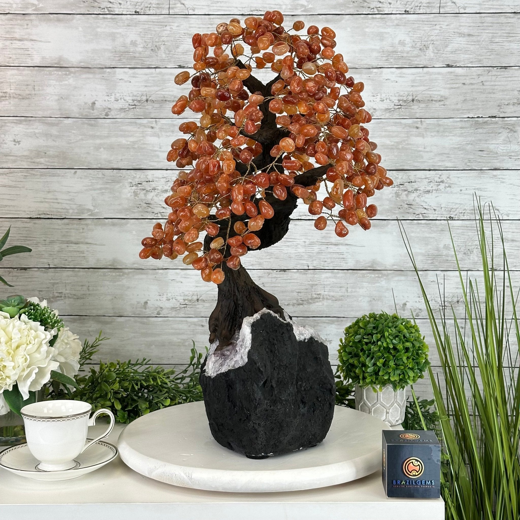23" Tall Carnelian Gemstone Tree on an Amethyst base, 540 gems #5406CA-006 - Brazil GemsBrazil Gems23" Tall Carnelian Gemstone Tree on an Amethyst base, 540 gems #5406CA-006Gemstone Trees5406CA-006