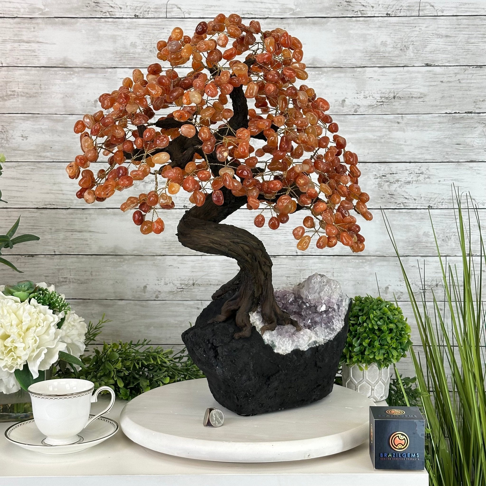 23" Tall Carnelian Gemstone Tree on an Amethyst base, 540 gems #5406CA-006 - Brazil GemsBrazil Gems23" Tall Carnelian Gemstone Tree on an Amethyst base, 540 gems #5406CA-006Gemstone Trees5406CA-006