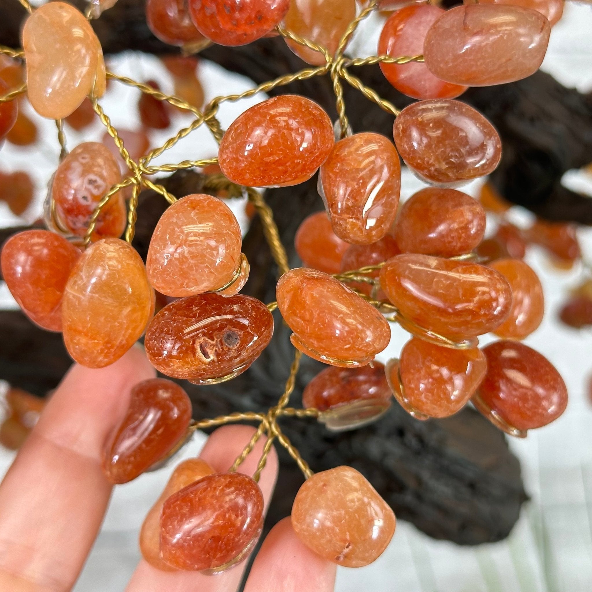 23" Tall Carnelian Gemstone Tree on an Amethyst base, 540 gems #5406CA-006 - Brazil GemsBrazil Gems23" Tall Carnelian Gemstone Tree on an Amethyst base, 540 gems #5406CA-006Gemstone Trees5406CA-006