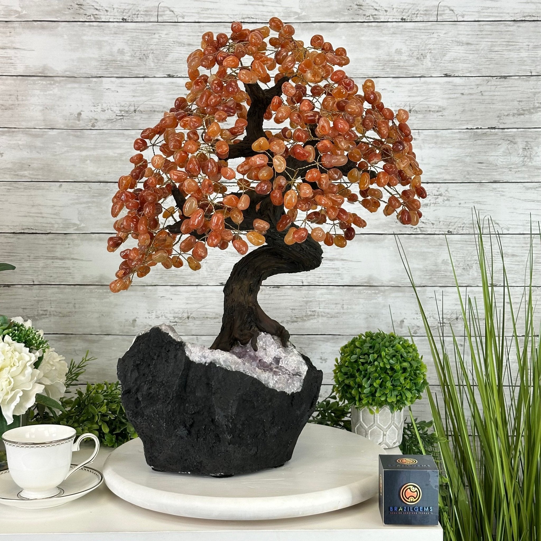 23" Tall Carnelian Gemstone Tree on an Amethyst base, 540 gems #5406CA-006 - Brazil GemsBrazil Gems23" Tall Carnelian Gemstone Tree on an Amethyst base, 540 gems #5406CA-006Gemstone Trees5406CA-006