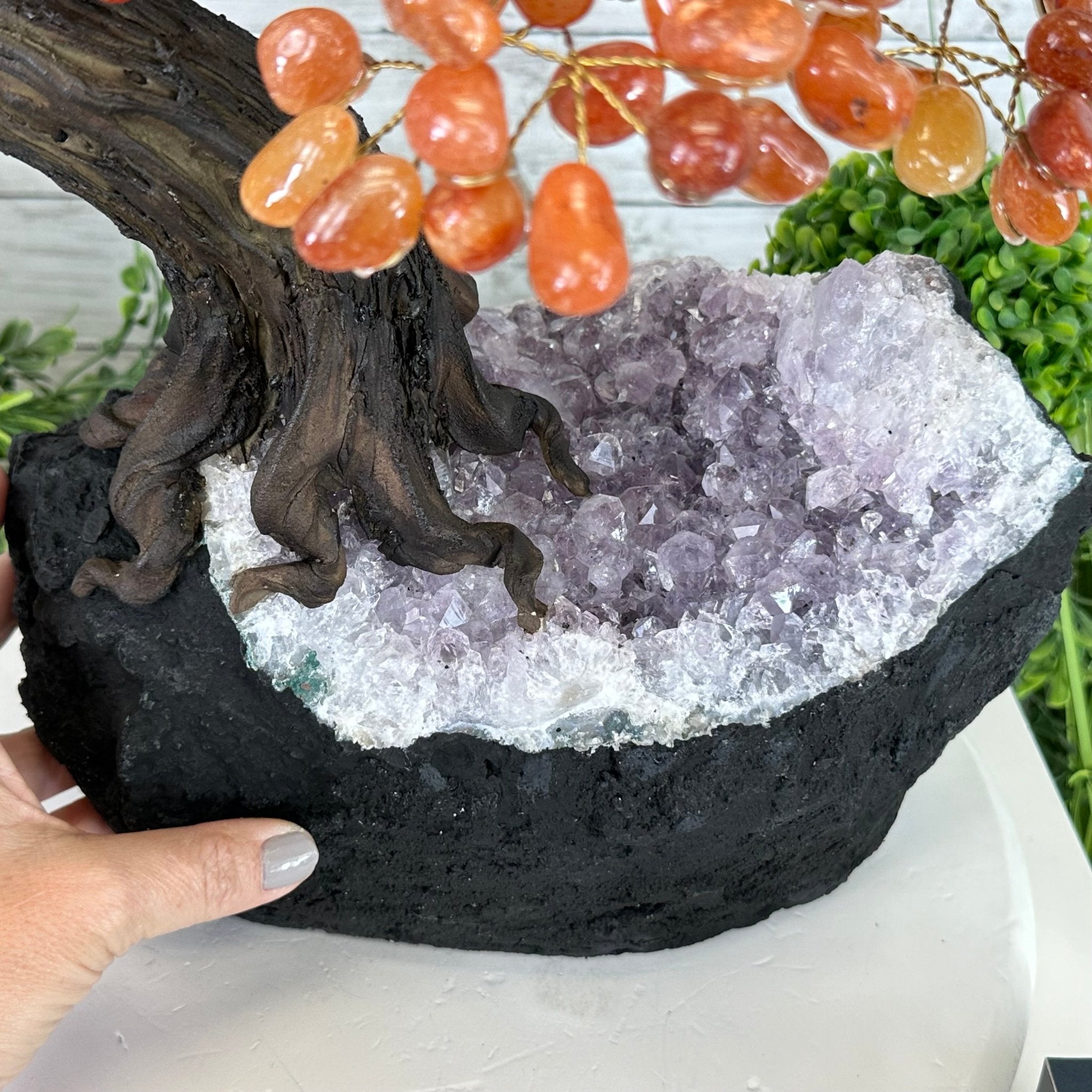 23" Tall Carnelian Gemstone Tree on an Amethyst base, 540 gems #5406CA-006 - Brazil GemsBrazil Gems23" Tall Carnelian Gemstone Tree on an Amethyst base, 540 gems #5406CA-006Gemstone Trees5406CA-006