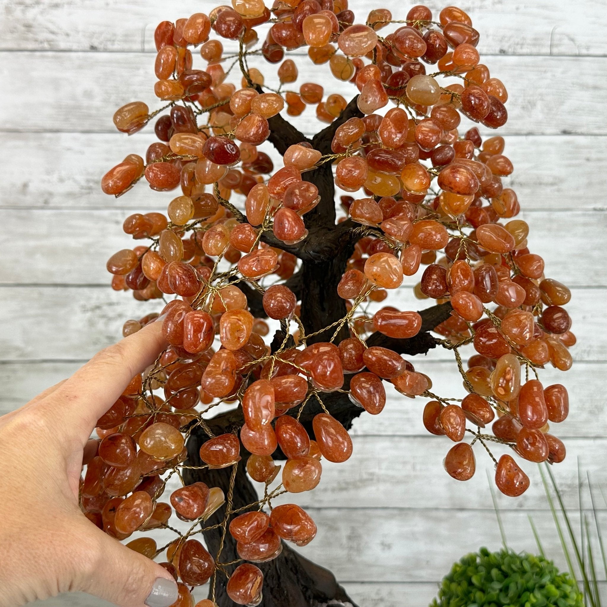 23" Tall Carnelian Gemstone Tree on an Amethyst base, 540 gems #5406CA-006 - Brazil GemsBrazil Gems23" Tall Carnelian Gemstone Tree on an Amethyst base, 540 gems #5406CA-006Gemstone Trees5406CA-006