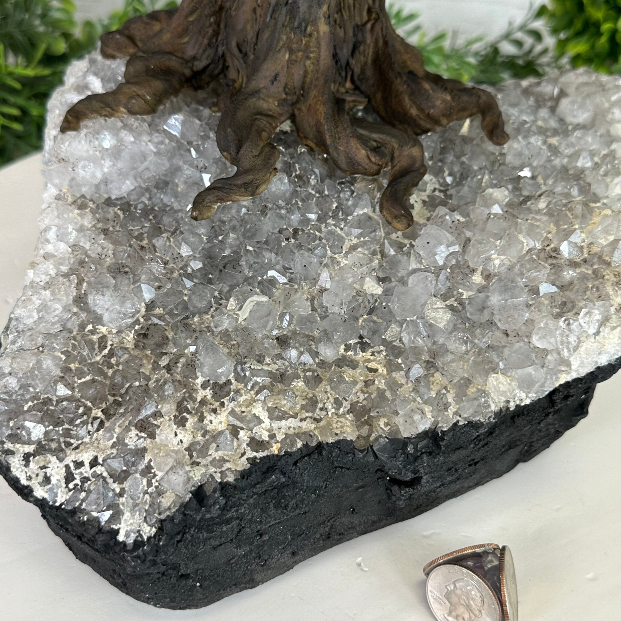 25" Tall Large Amethyst Gemstone Tree on an Amethyst Base, 720 gems #5407AM-035 - Brazil GemsBrazil Gems25" Tall Large Amethyst Gemstone Tree on an Amethyst Base, 720 gems #5407AM-035Gemstone Trees5407AM-035