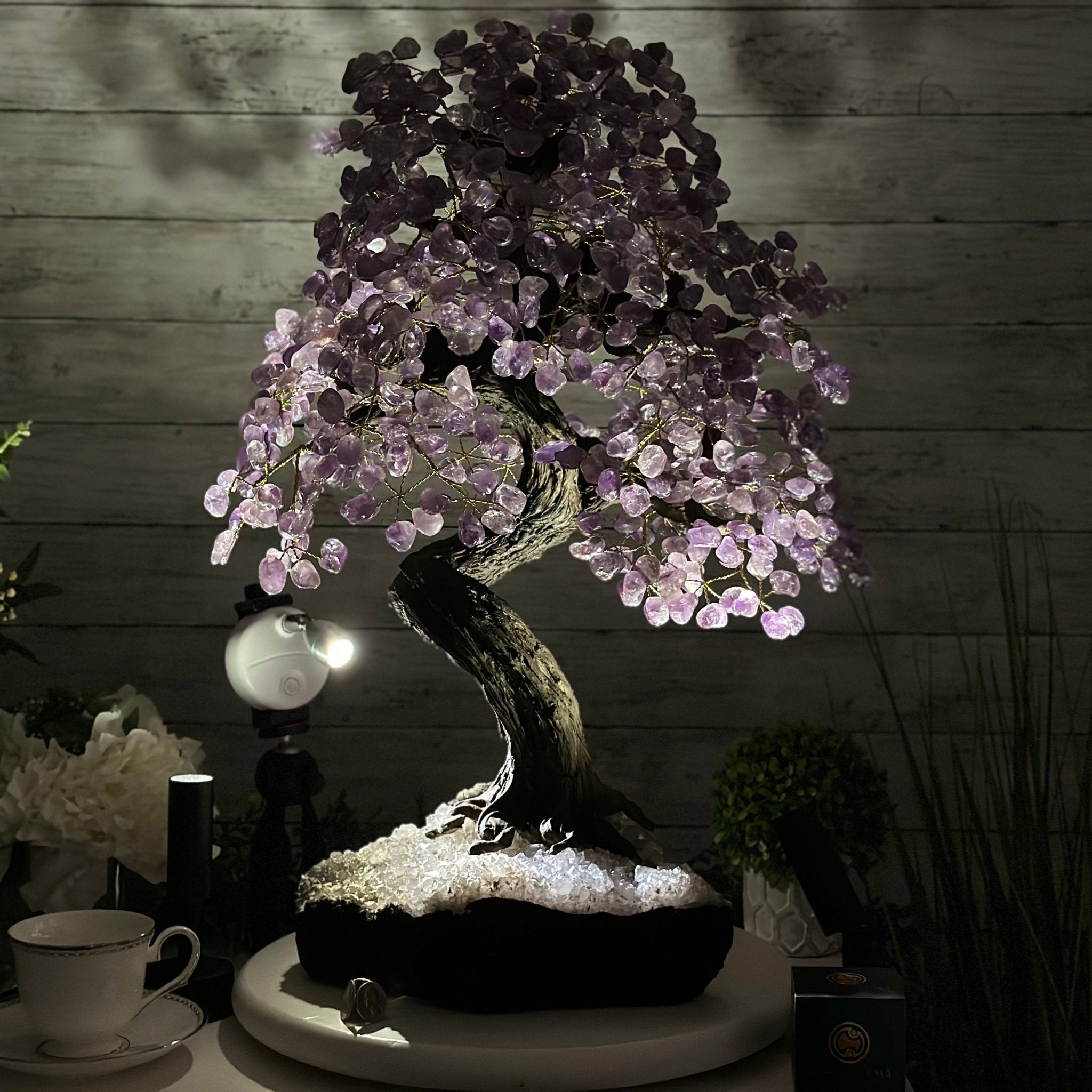 25" Tall Large Amethyst Gemstone Tree on an Amethyst Base, 720 gems #5407AM-035 - Brazil GemsBrazil Gems25" Tall Large Amethyst Gemstone Tree on an Amethyst Base, 720 gems #5407AM-035Gemstone Trees5407AM-035