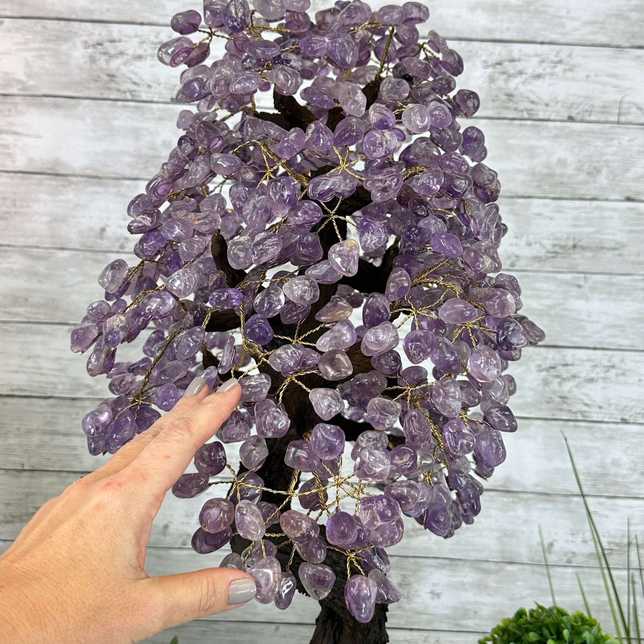 25" Tall Large Amethyst Gemstone Tree on an Amethyst Base, 720 gems #5407AM-035 - Brazil GemsBrazil Gems25" Tall Large Amethyst Gemstone Tree on an Amethyst Base, 720 gems #5407AM-035Gemstone Trees5407AM-035