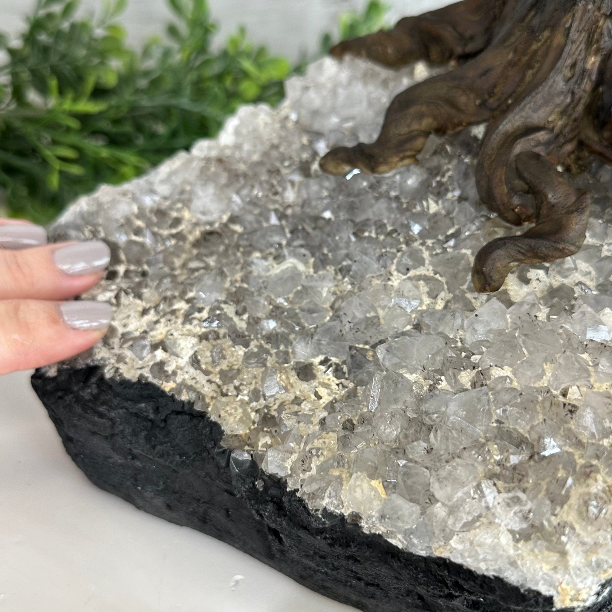 25" Tall Large Amethyst Gemstone Tree on an Amethyst Base, 720 gems #5407AM-035 - Brazil GemsBrazil Gems25" Tall Large Amethyst Gemstone Tree on an Amethyst Base, 720 gems #5407AM-035Gemstone Trees5407AM-035