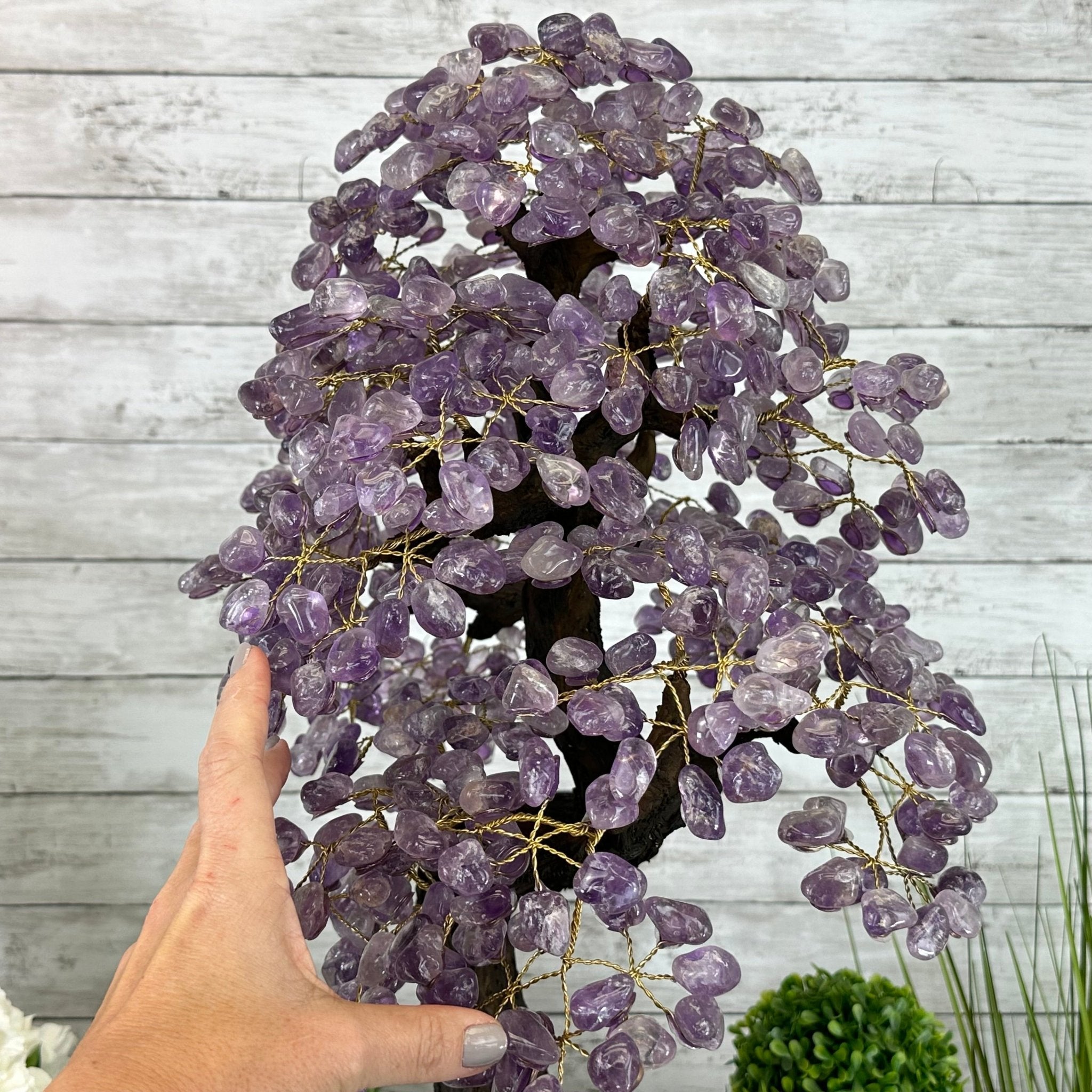 25" Tall Large Amethyst Gemstone Tree on an Amethyst Base, 720 gems #5407AM-035 - Brazil GemsBrazil Gems25" Tall Large Amethyst Gemstone Tree on an Amethyst Base, 720 gems #5407AM-035Gemstone Trees5407AM-035