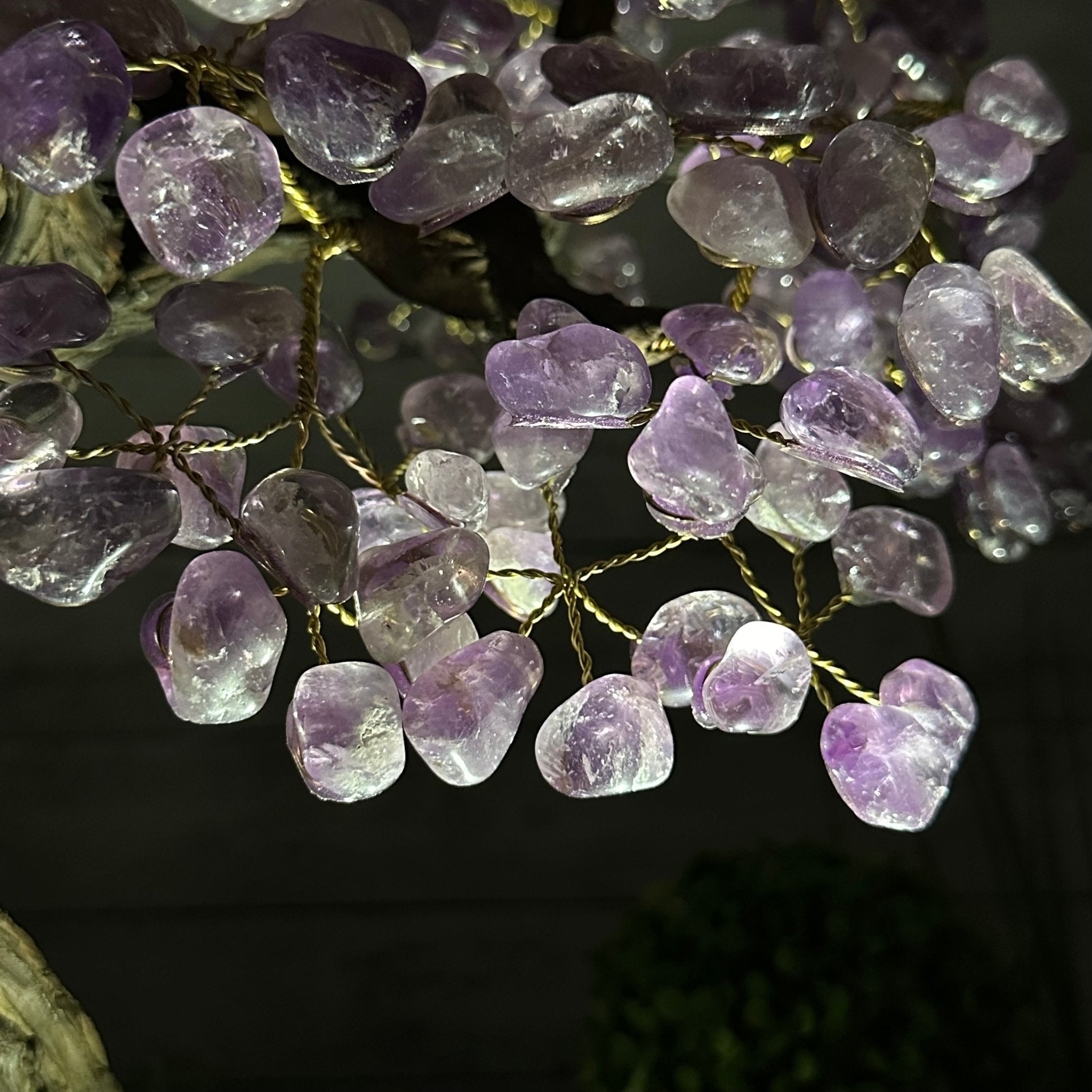 25" Tall Large Amethyst Gemstone Tree on an Amethyst Base, 720 gems #5407AM-035 - Brazil GemsBrazil Gems25" Tall Large Amethyst Gemstone Tree on an Amethyst Base, 720 gems #5407AM-035Gemstone Trees5407AM-035
