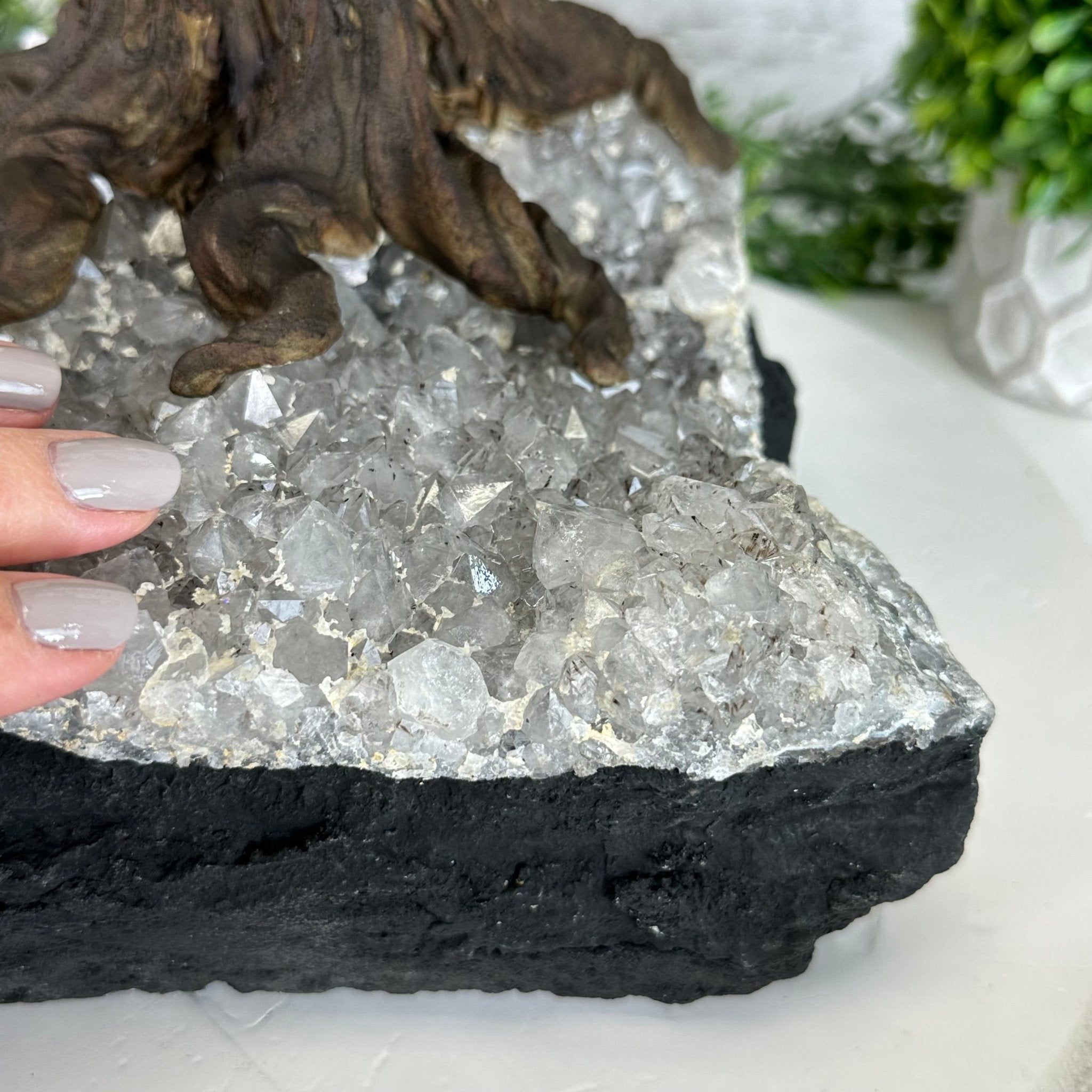 25" Tall Large Amethyst Gemstone Tree on an Amethyst Base, 720 gems #5407AM-035 - Brazil GemsBrazil Gems25" Tall Large Amethyst Gemstone Tree on an Amethyst Base, 720 gems #5407AM-035Gemstone Trees5407AM-035