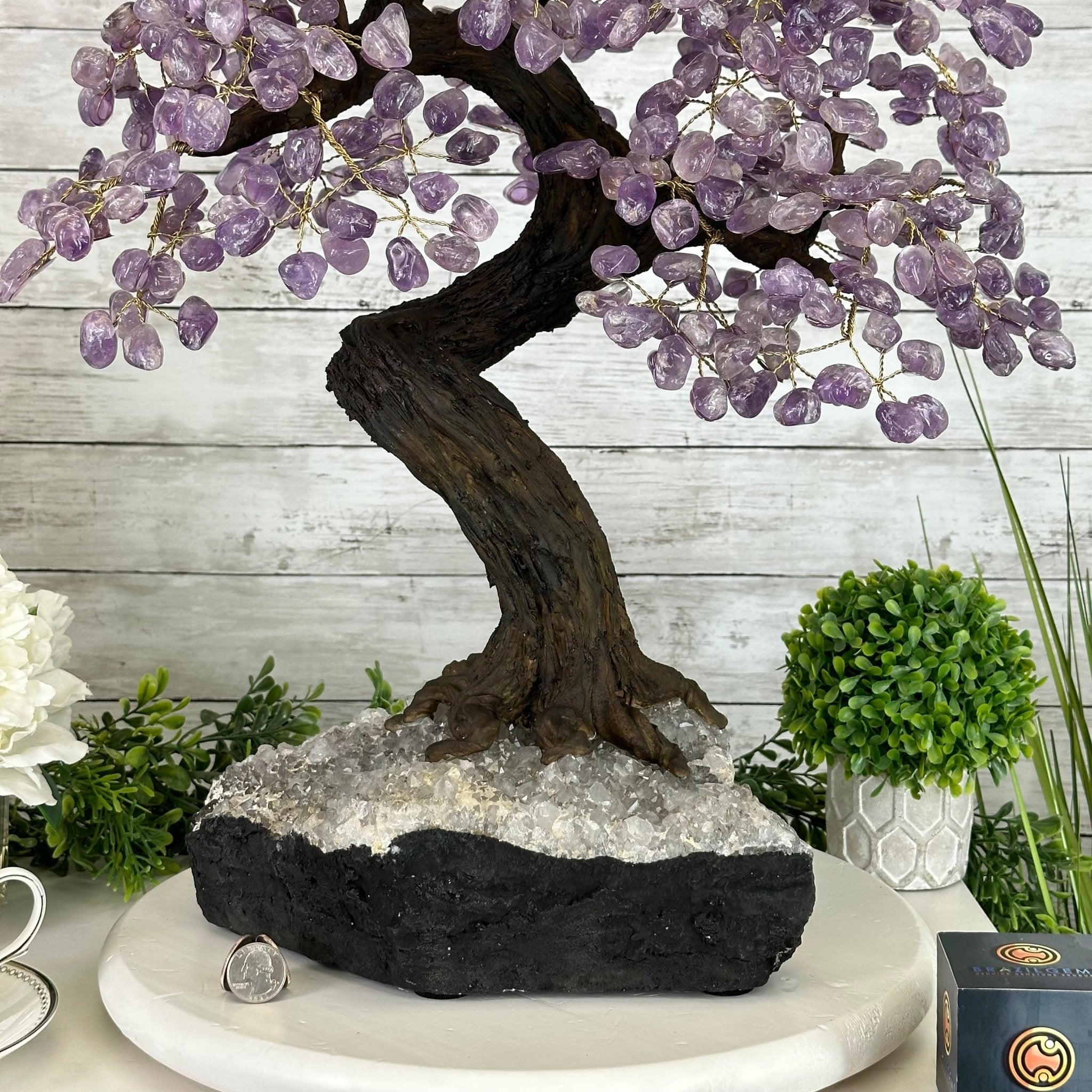 25" Tall Large Amethyst Gemstone Tree on an Amethyst Base, 720 gems #5407AM-035 - Brazil GemsBrazil Gems25" Tall Large Amethyst Gemstone Tree on an Amethyst Base, 720 gems #5407AM-035Gemstone Trees5407AM-035