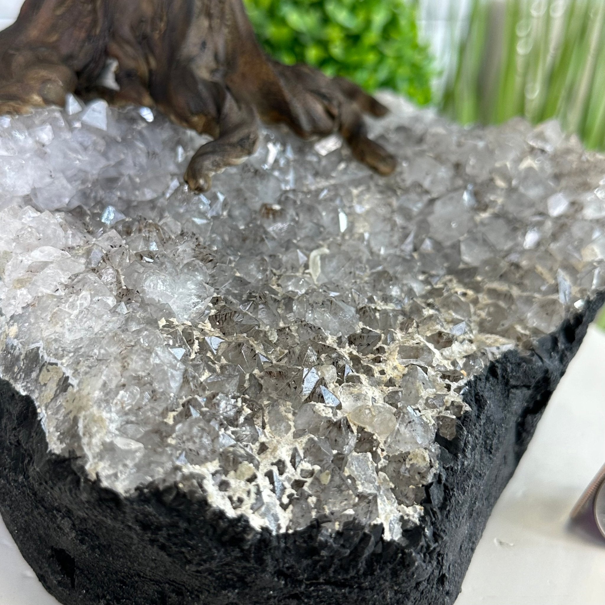 25" Tall Large Amethyst Gemstone Tree on an Amethyst Base, 720 gems #5407AM-035 - Brazil GemsBrazil Gems25" Tall Large Amethyst Gemstone Tree on an Amethyst Base, 720 gems #5407AM-035Gemstone Trees5407AM-035
