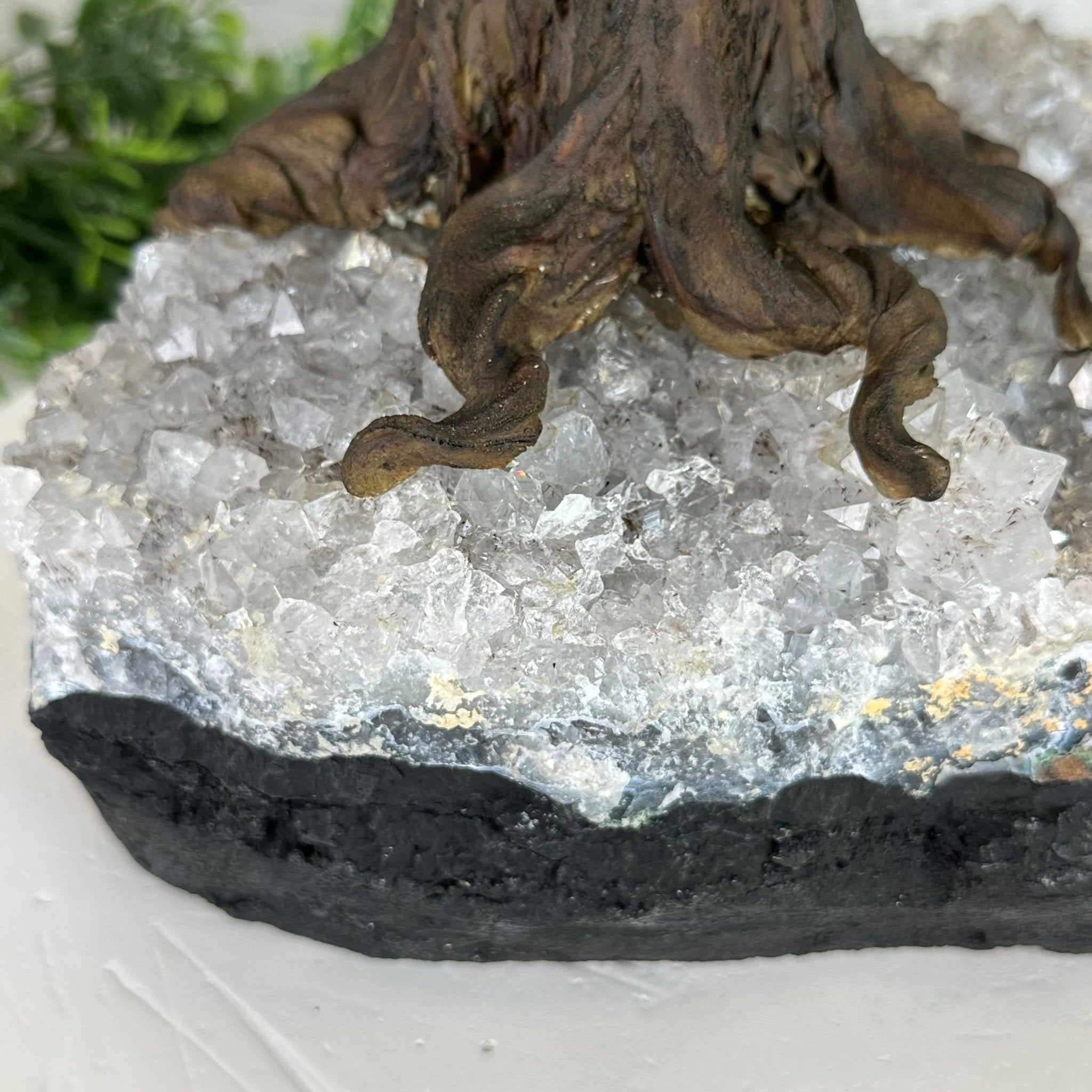 25" Tall Large Amethyst Gemstone Tree on an Amethyst Base, 720 gems #5407AM-035 - Brazil GemsBrazil Gems25" Tall Large Amethyst Gemstone Tree on an Amethyst Base, 720 gems #5407AM-035Gemstone Trees5407AM-035