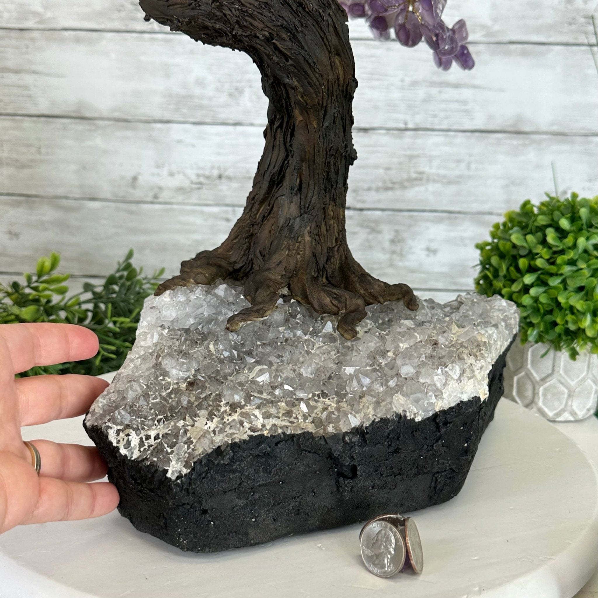 25" Tall Large Amethyst Gemstone Tree on an Amethyst Base, 720 gems #5407AM-035 - Brazil GemsBrazil Gems25" Tall Large Amethyst Gemstone Tree on an Amethyst Base, 720 gems #5407AM-035Gemstone Trees5407AM-035
