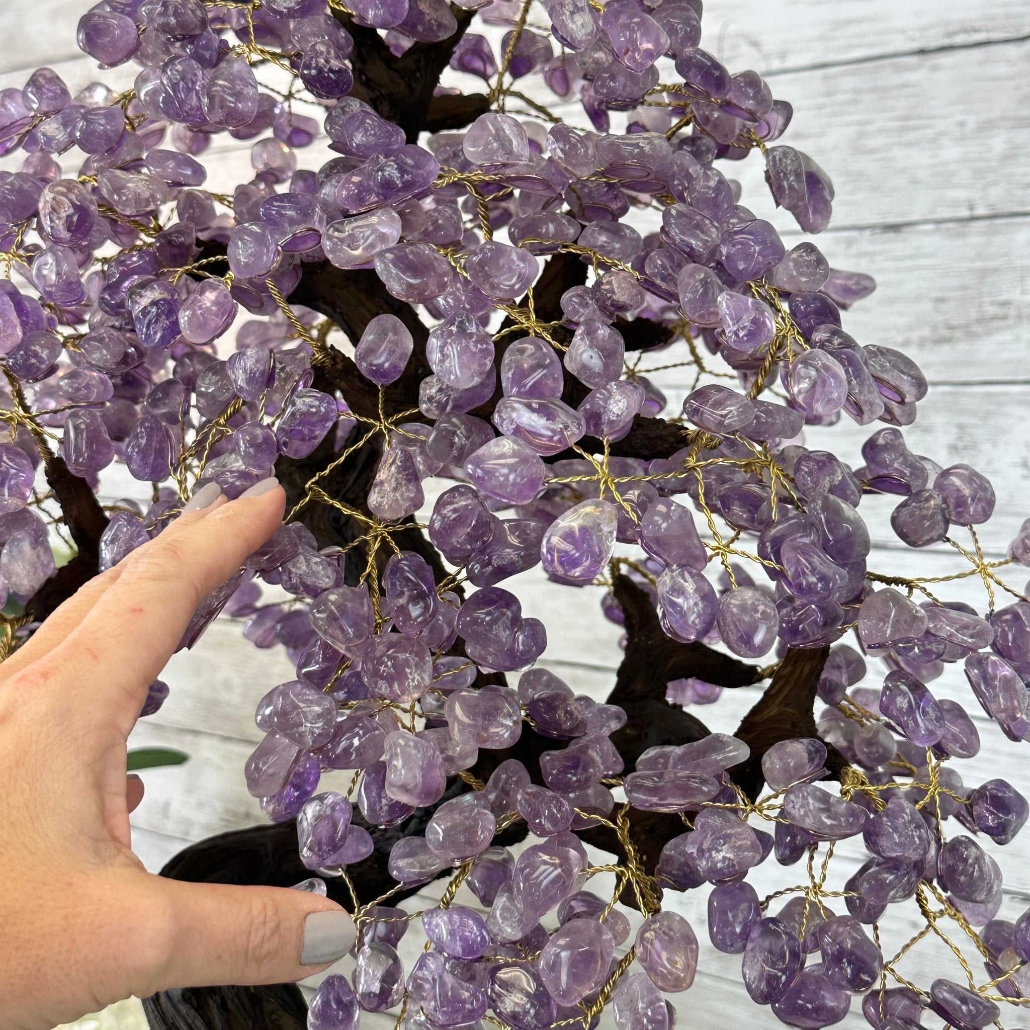 25" Tall Large Amethyst Gemstone Tree on an Amethyst Base, 720 gems #5407AM-035 - Brazil GemsBrazil Gems25" Tall Large Amethyst Gemstone Tree on an Amethyst Base, 720 gems #5407AM-035Gemstone Trees5407AM-035