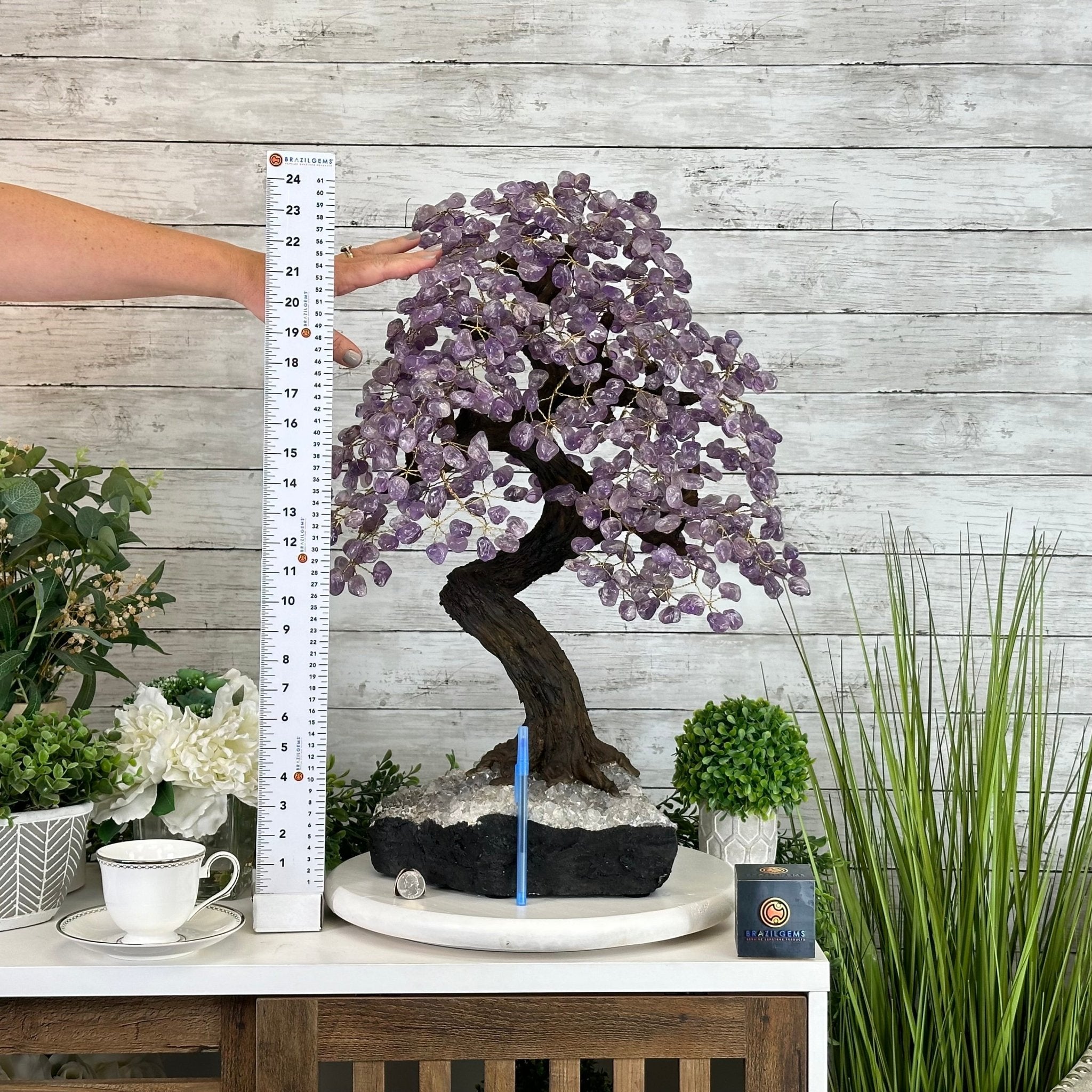 25" Tall Large Amethyst Gemstone Tree on an Amethyst Base, 720 gems #5407AM-035 - Brazil GemsBrazil Gems25" Tall Large Amethyst Gemstone Tree on an Amethyst Base, 720 gems #5407AM-035Gemstone Trees5407AM-035