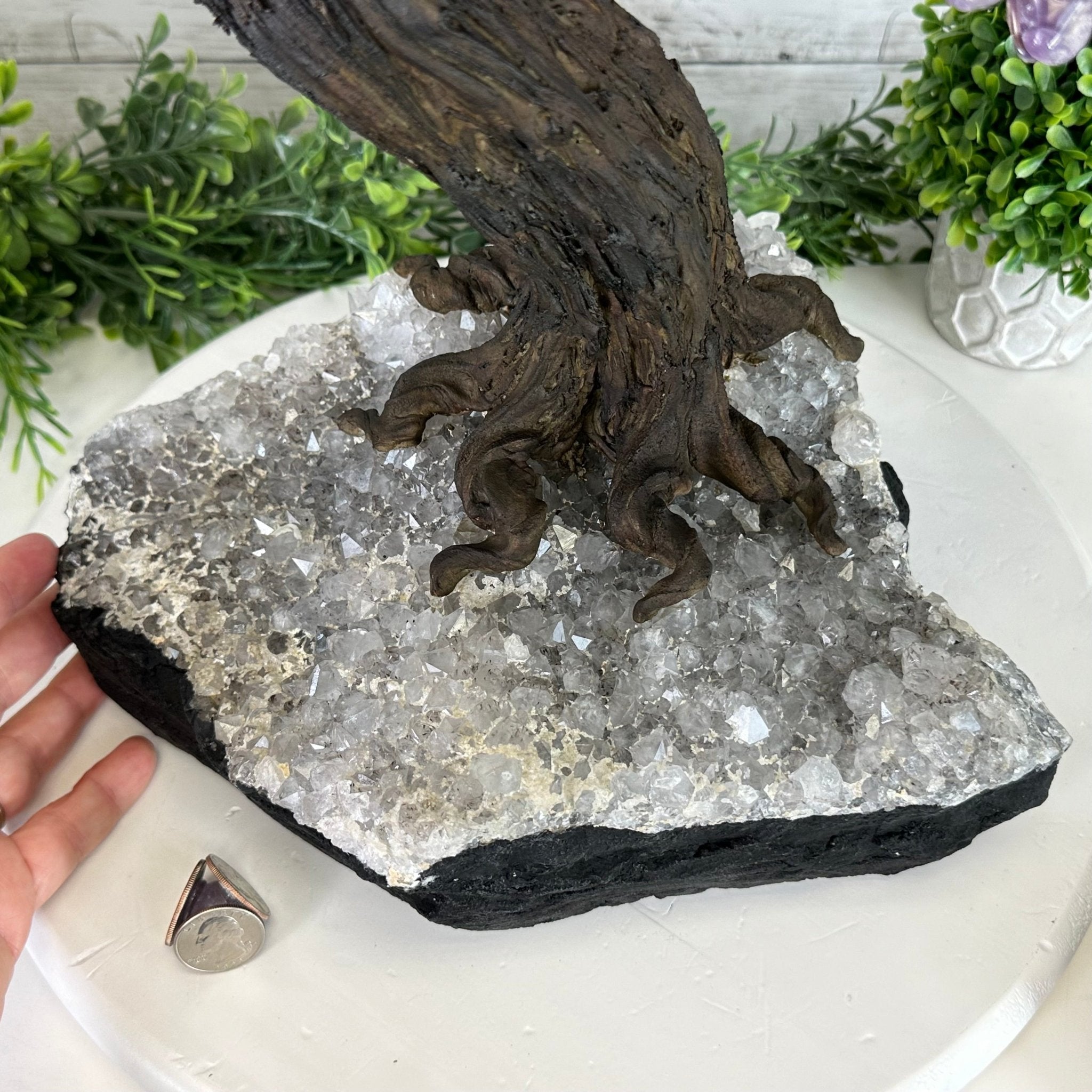 25" Tall Large Amethyst Gemstone Tree on an Amethyst Base, 720 gems #5407AM-035 - Brazil GemsBrazil Gems25" Tall Large Amethyst Gemstone Tree on an Amethyst Base, 720 gems #5407AM-035Gemstone Trees5407AM-035