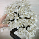 25" Tall Large Clear Quartz Gemstone Tree on an Amethyst Base, 720 gems #5407CQ - 009 - Brazil GemsBrazil Gems25" Tall Large Clear Quartz Gemstone Tree on an Amethyst Base, 720 gems #5407CQ - 009Gemstone Trees5407CQ - 009