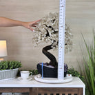 25" Tall Large Clear Quartz Gemstone Tree on an Amethyst Base, 720 gems #5407CQ - 009 - Brazil GemsBrazil Gems25" Tall Large Clear Quartz Gemstone Tree on an Amethyst Base, 720 gems #5407CQ - 009Gemstone Trees5407CQ - 009