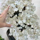 25" Tall Large Clear Quartz Gemstone Tree on an Amethyst Base, 720 gems #5407CQ - 009 - Brazil GemsBrazil Gems25" Tall Large Clear Quartz Gemstone Tree on an Amethyst Base, 720 gems #5407CQ - 009Gemstone Trees5407CQ - 009
