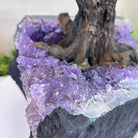25" Tall Large Clear Quartz Gemstone Tree on an Amethyst Base, 720 gems #5407CQ - 009 - Brazil GemsBrazil Gems25" Tall Large Clear Quartz Gemstone Tree on an Amethyst Base, 720 gems #5407CQ - 009Gemstone Trees5407CQ - 009