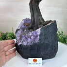 25" Tall Large Clear Quartz Gemstone Tree on an Amethyst Base, 720 gems #5407CQ - 009 - Brazil GemsBrazil Gems25" Tall Large Clear Quartz Gemstone Tree on an Amethyst Base, 720 gems #5407CQ - 009Gemstone Trees5407CQ - 009
