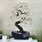 25" Tall Large Clear Quartz Gemstone Tree on an Amethyst Base, 720 gems #5407CQ - 009 - Brazil GemsBrazil Gems25" Tall Large Clear Quartz Gemstone Tree on an Amethyst Base, 720 gems #5407CQ - 009Gemstone Trees5407CQ - 009