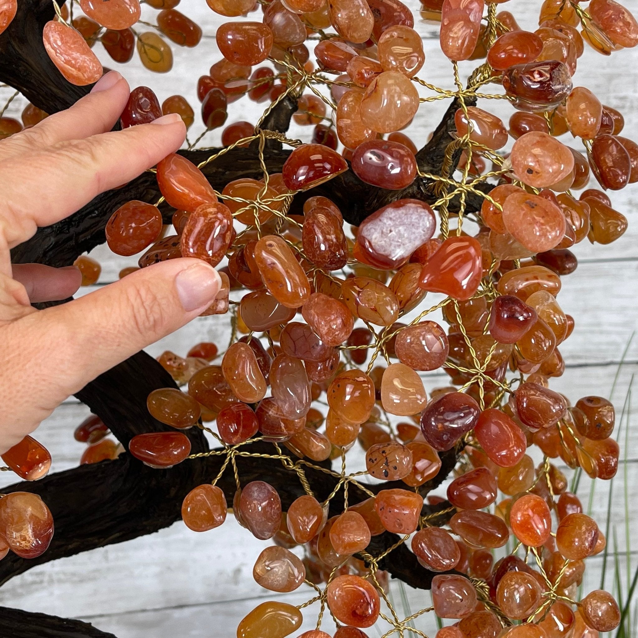 25" Tall Large Handmade Carnelian Gemstone Tree on an Amethyst Base, 720 gems #5407CA-003 by Brazil Gems - Brazil GemsBrazil Gems25" Tall Large Handmade Carnelian Gemstone Tree on an Amethyst Base, 720 gems #5407CA-003 by Brazil GemsGemstone Trees5407CA-003