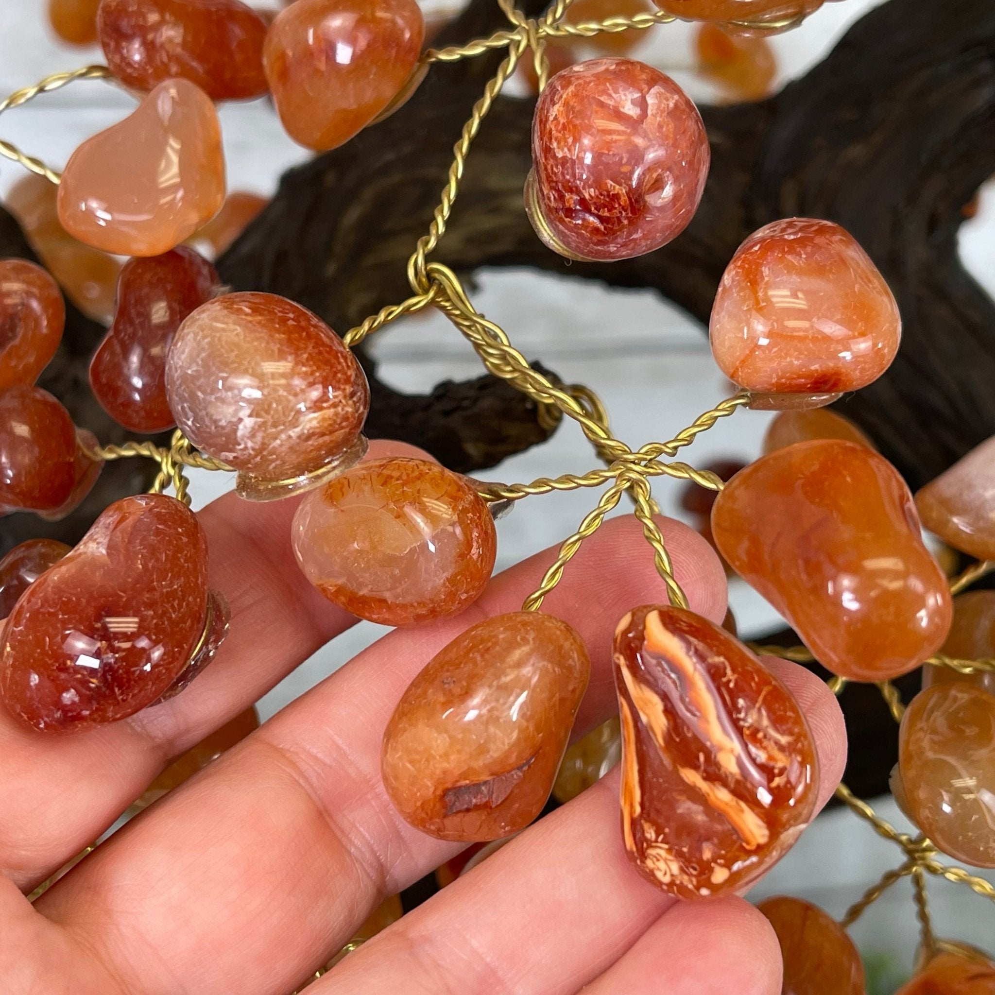 25" Tall Large Handmade Carnelian Gemstone Tree on an Amethyst Base, 720 gems #5407CA-003 by Brazil Gems - Brazil GemsBrazil Gems25" Tall Large Handmade Carnelian Gemstone Tree on an Amethyst Base, 720 gems #5407CA-003 by Brazil GemsGemstone Trees5407CA-003