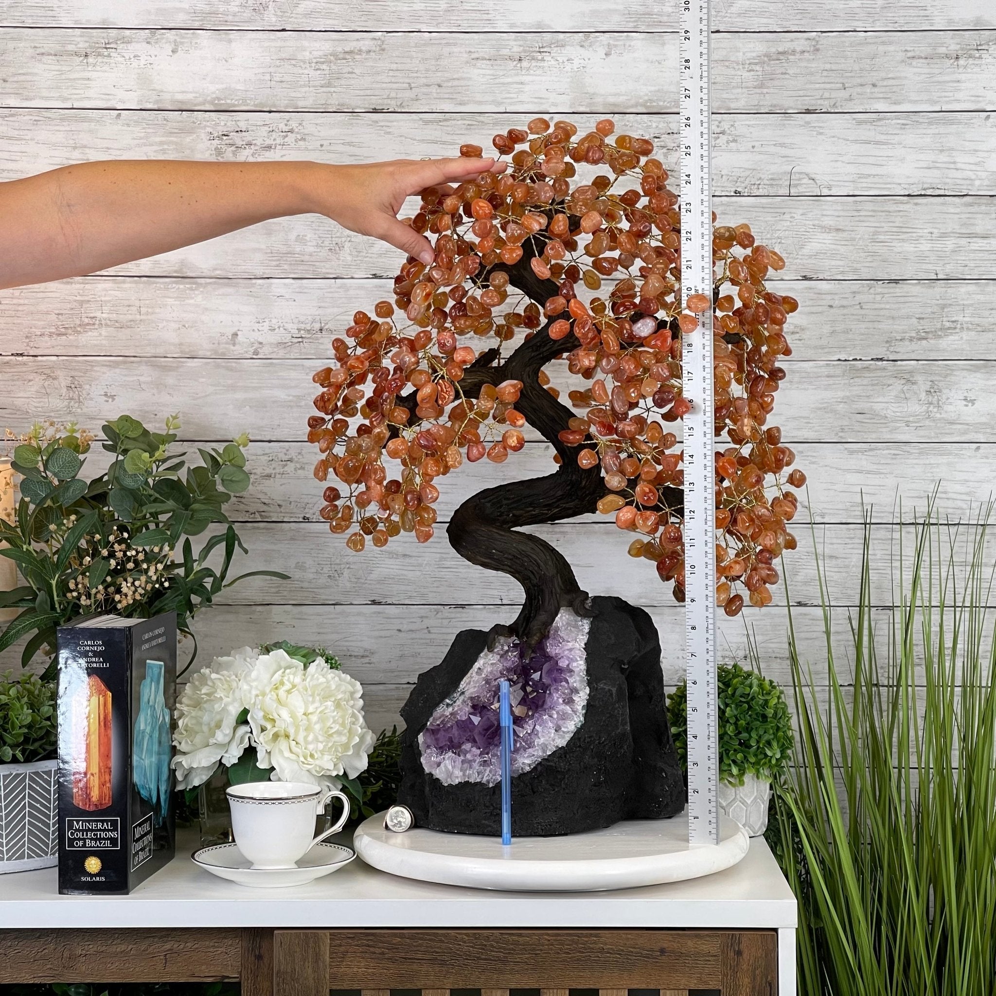 25" Tall Large Handmade Carnelian Gemstone Tree on an Amethyst Base, 720 gems #5407CA-003 by Brazil Gems - Brazil GemsBrazil Gems25" Tall Large Handmade Carnelian Gemstone Tree on an Amethyst Base, 720 gems #5407CA-003 by Brazil GemsGemstone Trees5407CA-003