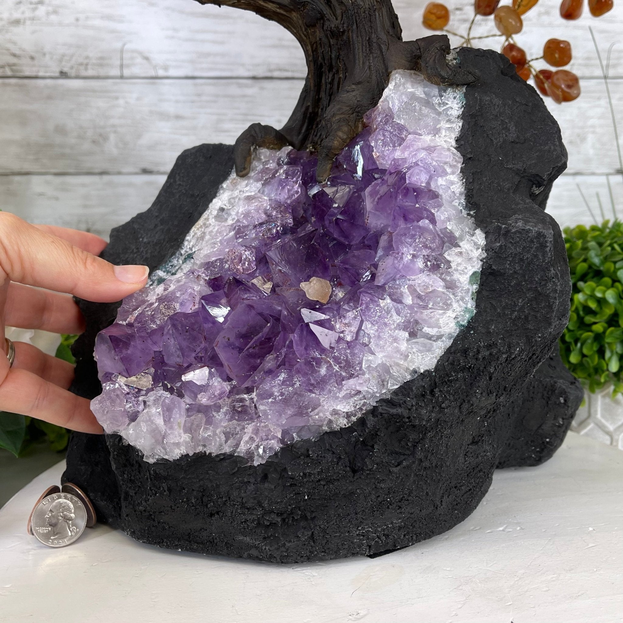 25" Tall Large Handmade Carnelian Gemstone Tree on an Amethyst Base, 720 gems #5407CA-003 by Brazil Gems - Brazil GemsBrazil Gems25" Tall Large Handmade Carnelian Gemstone Tree on an Amethyst Base, 720 gems #5407CA-003 by Brazil GemsGemstone Trees5407CA-003