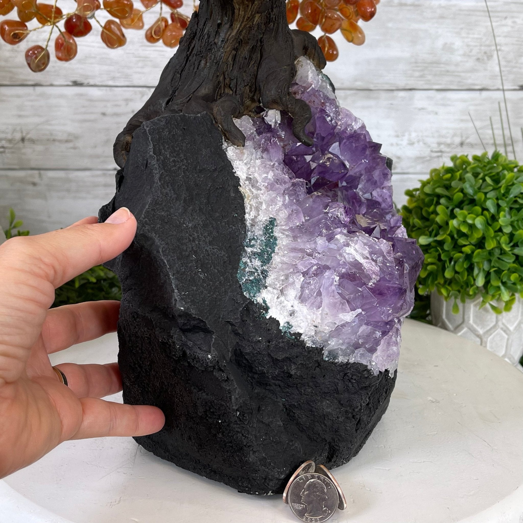 25" Tall Large Handmade Carnelian Gemstone Tree on an Amethyst Base, 720 gems #5407CA-003 by Brazil Gems - Brazil GemsBrazil Gems25" Tall Large Handmade Carnelian Gemstone Tree on an Amethyst Base, 720 gems #5407CA-003 by Brazil GemsGemstone Trees5407CA-003