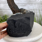 25" Tall Large Handmade Clear Quartz Gemstone Tree on an Amethyst Base, 720 gems #5407CQ-006 by Brazil Gems - Brazil GemsBrazil Gems25" Tall Large Handmade Clear Quartz Gemstone Tree on an Amethyst Base, 720 gems #5407CQ-006 by Brazil GemsGemstone Trees5407CQ-006