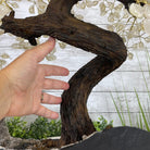 25" Tall Large Handmade Clear Quartz Gemstone Tree on an Amethyst Base, 720 gems #5407CQ-006 by Brazil Gems - Brazil GemsBrazil Gems25" Tall Large Handmade Clear Quartz Gemstone Tree on an Amethyst Base, 720 gems #5407CQ-006 by Brazil GemsGemstone Trees5407CQ-006