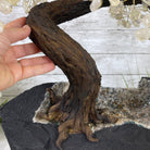 25" Tall Large Handmade Clear Quartz Gemstone Tree on an Amethyst Base, 720 gems #5407CQ-006 by Brazil Gems - Brazil GemsBrazil Gems25" Tall Large Handmade Clear Quartz Gemstone Tree on an Amethyst Base, 720 gems #5407CQ-006 by Brazil GemsGemstone Trees5407CQ-006