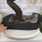 25" Tall Large Handmade Clear Quartz Gemstone Tree on an Amethyst Base, 720 gems #5407CQ-006 by Brazil Gems - Brazil GemsBrazil Gems25" Tall Large Handmade Clear Quartz Gemstone Tree on an Amethyst Base, 720 gems #5407CQ-006 by Brazil GemsGemstone Trees5407CQ-006