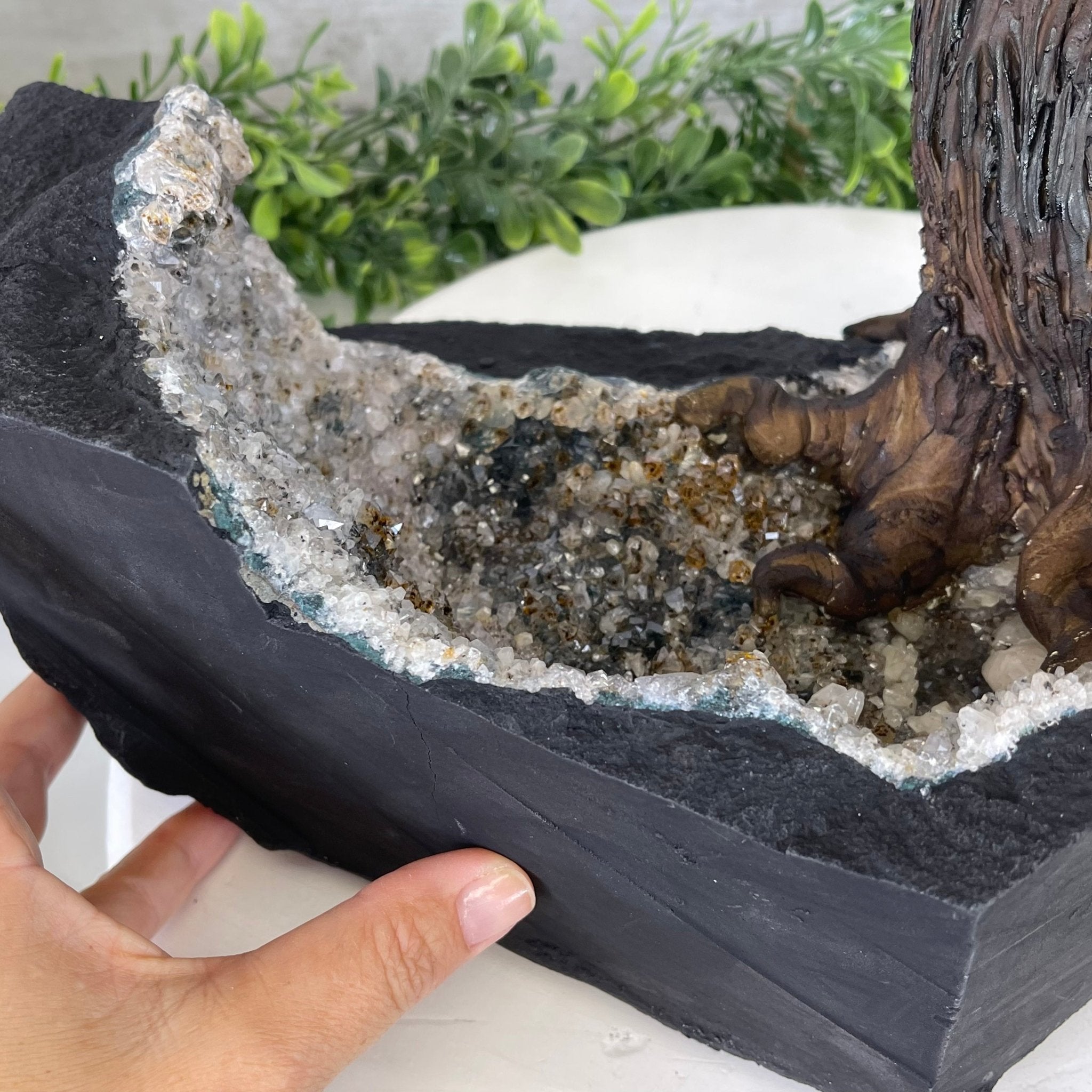 25" Tall Large Handmade Clear Quartz Gemstone Tree on an Amethyst Base, 720 gems #5407CQ-006 by Brazil Gems - Brazil GemsBrazil Gems25" Tall Large Handmade Clear Quartz Gemstone Tree on an Amethyst Base, 720 gems #5407CQ-006 by Brazil GemsGemstone Trees5407CQ-006