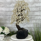 25" Tall Large Handmade Clear Quartz Gemstone Tree on an Amethyst Base, 720 gems #5407CQ-006 by Brazil Gems - Brazil GemsBrazil Gems25" Tall Large Handmade Clear Quartz Gemstone Tree on an Amethyst Base, 720 gems #5407CQ-006 by Brazil GemsGemstone Trees5407CQ-006