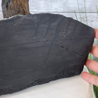 25" Tall Large Handmade Clear Quartz Gemstone Tree on an Amethyst Base, 720 gems #5407CQ-006 by Brazil Gems - Brazil GemsBrazil Gems25" Tall Large Handmade Clear Quartz Gemstone Tree on an Amethyst Base, 720 gems #5407CQ-006 by Brazil GemsGemstone Trees5407CQ-006