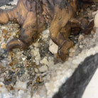 25" Tall Large Handmade Clear Quartz Gemstone Tree on an Amethyst Base, 720 gems #5407CQ-006 by Brazil Gems - Brazil GemsBrazil Gems25" Tall Large Handmade Clear Quartz Gemstone Tree on an Amethyst Base, 720 gems #5407CQ-006 by Brazil GemsGemstone Trees5407CQ-006