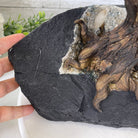 25" Tall Large Handmade Clear Quartz Gemstone Tree on an Amethyst Base, 720 gems #5407CQ-006 by Brazil Gems - Brazil GemsBrazil Gems25" Tall Large Handmade Clear Quartz Gemstone Tree on an Amethyst Base, 720 gems #5407CQ-006 by Brazil GemsGemstone Trees5407CQ-006