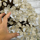 25" Tall Large Handmade Clear Quartz Gemstone Tree on an Amethyst Base, 720 gems #5407CQ-006 by Brazil Gems - Brazil GemsBrazil Gems25" Tall Large Handmade Clear Quartz Gemstone Tree on an Amethyst Base, 720 gems #5407CQ-006 by Brazil GemsGemstone Trees5407CQ-006