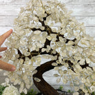 25" Tall Large Handmade Clear Quartz Gemstone Tree on an Amethyst Base, 720 gems #5407CQ-006 by Brazil Gems - Brazil GemsBrazil Gems25" Tall Large Handmade Clear Quartz Gemstone Tree on an Amethyst Base, 720 gems #5407CQ-006 by Brazil GemsGemstone Trees5407CQ-006