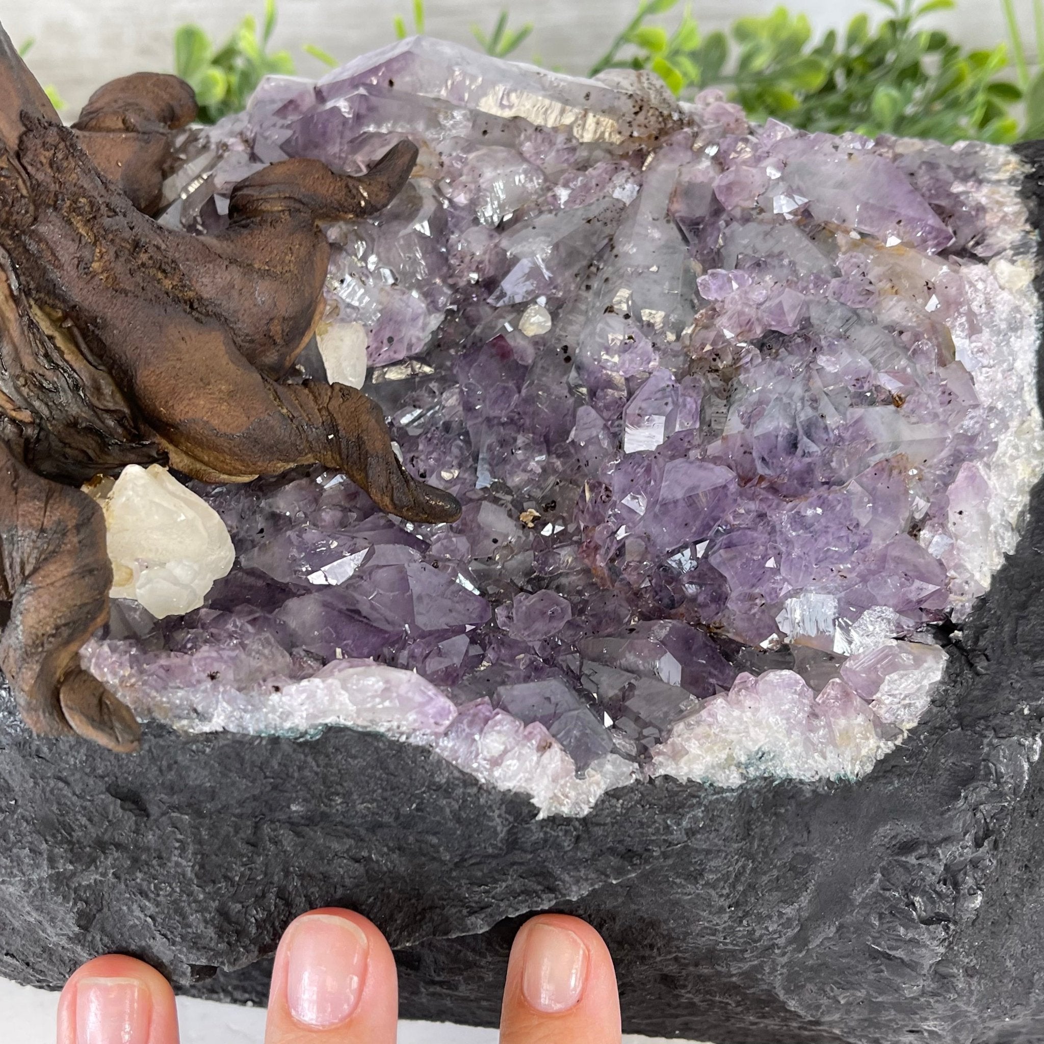 25" Tall Large Handmade Pink Agate Gemstone Tree on an Amethyst Base, 720 gems #5407PA-004 by Brazil Gems - Brazil GemsBrazil Gems25" Tall Large Handmade Pink Agate Gemstone Tree on an Amethyst Base, 720 gems #5407PA-004 by Brazil GemsGemstone Trees5407PA-004